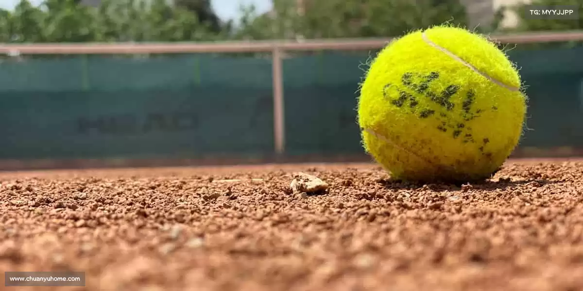 为什么选择我们